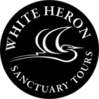 White Heron Sanctuary Tours