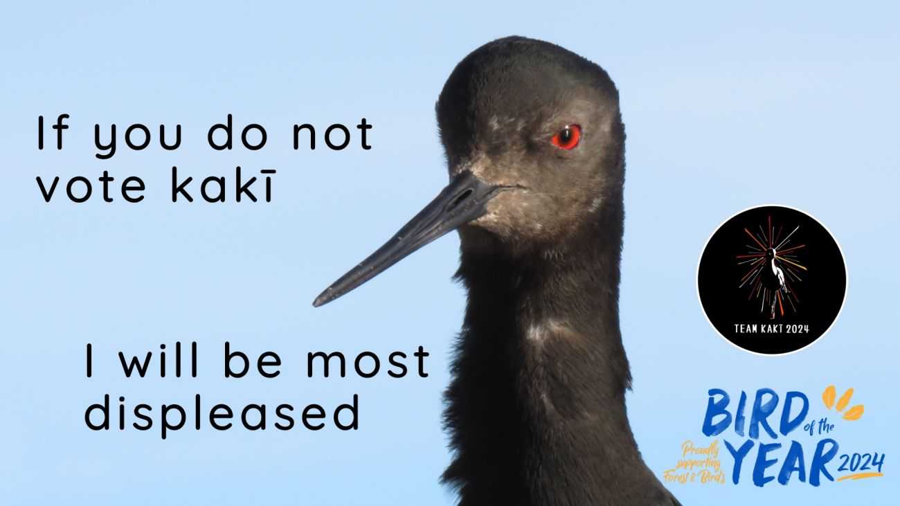 The Kakī Recovery Programme